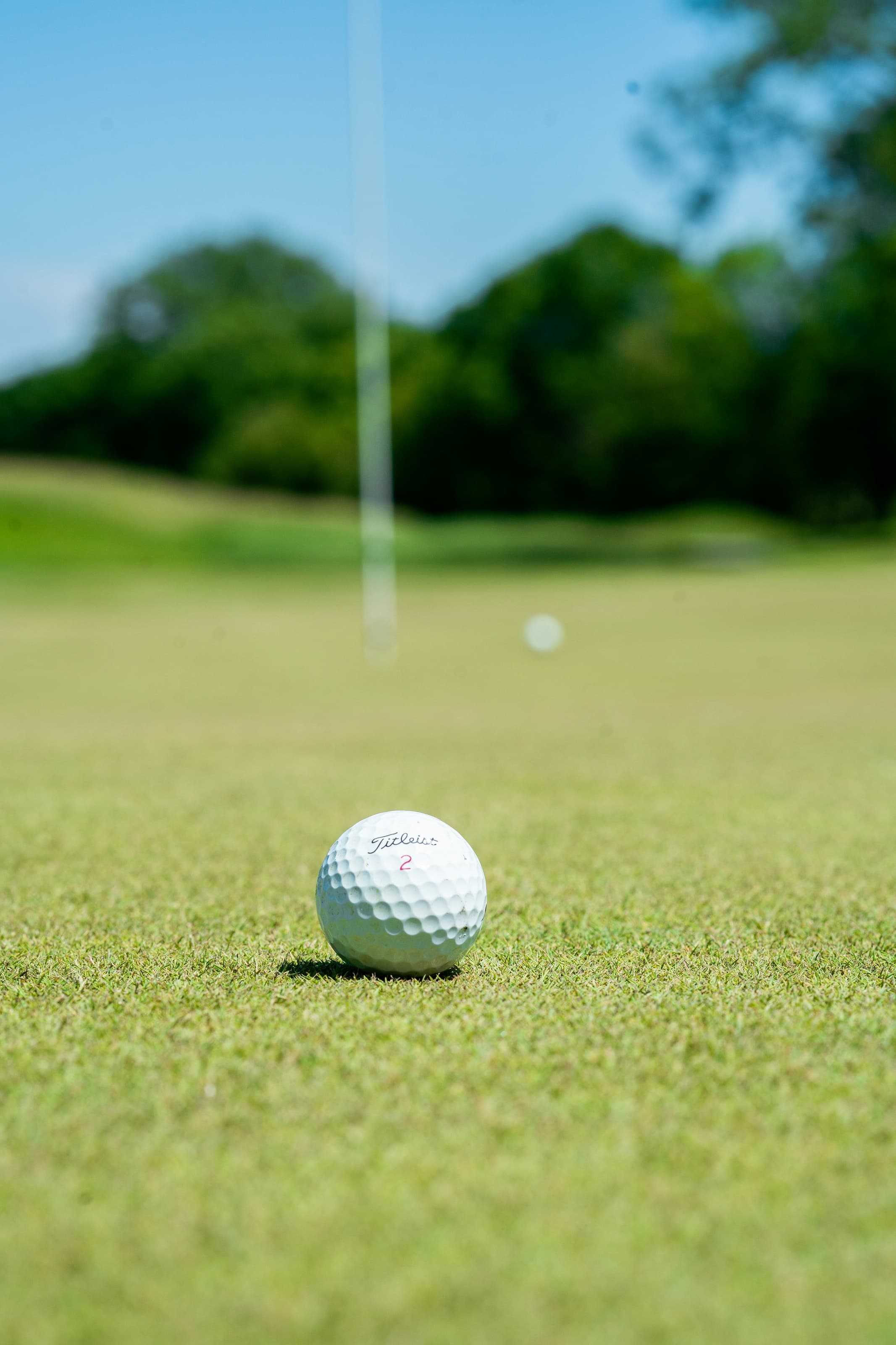 Golfarrangement im Waldhaus