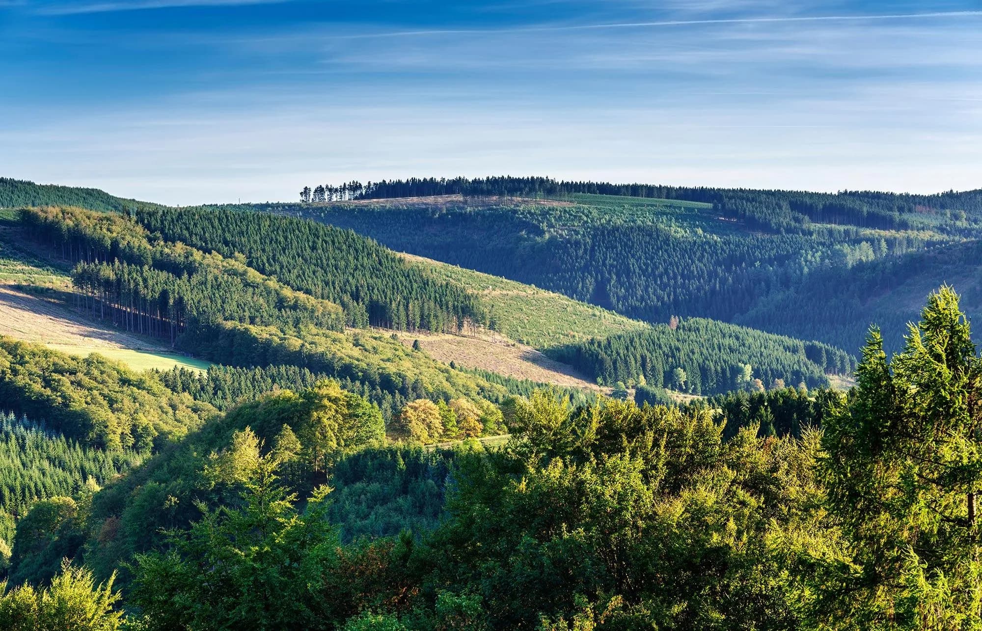 Frühlings-Wanderwochen im Sauerland